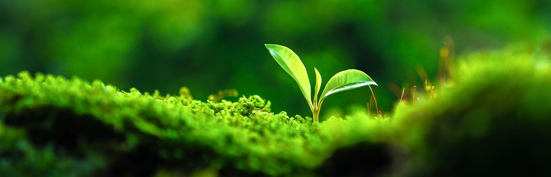 The Global No.1 Eco-friendly Company